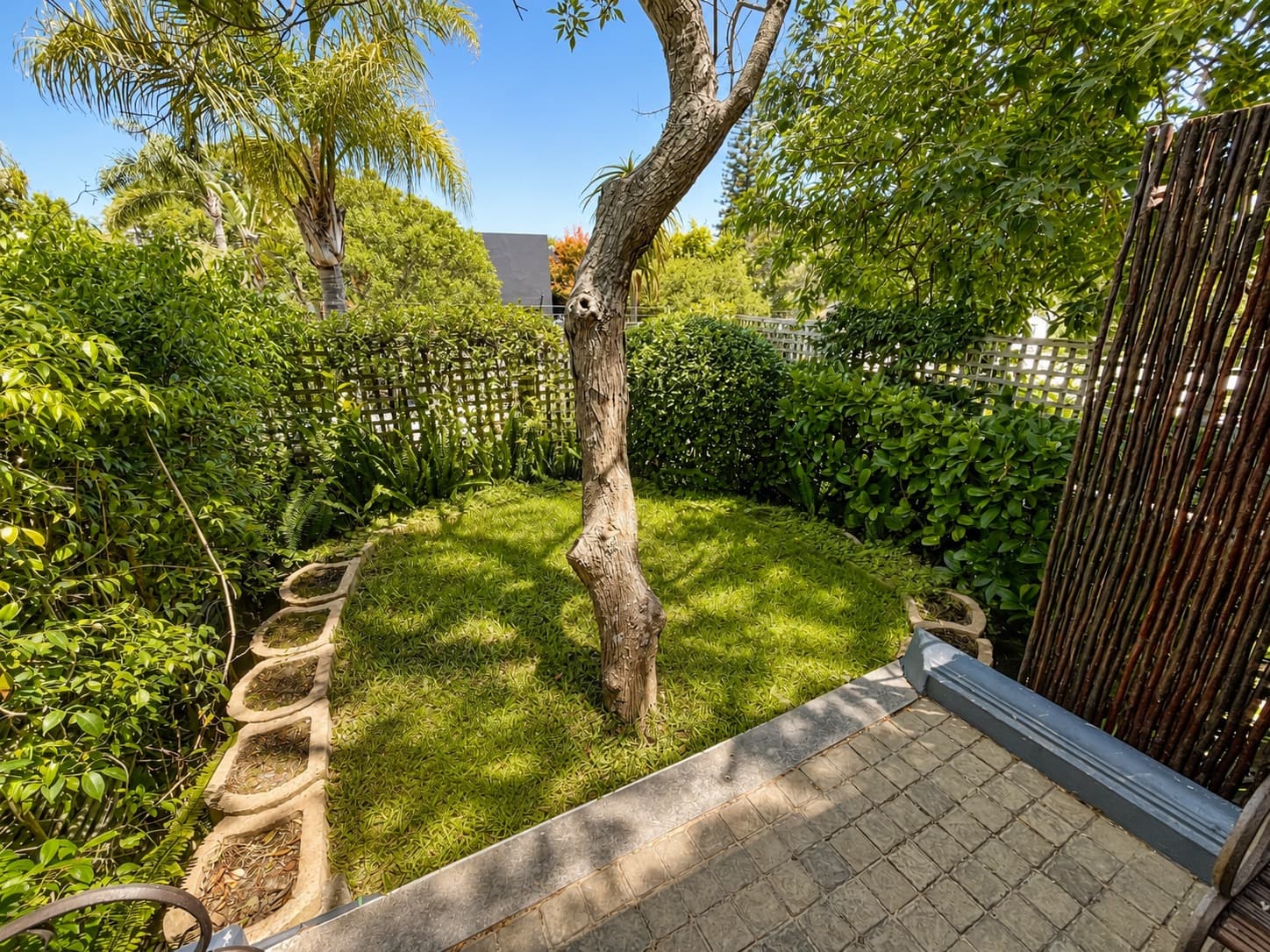 Mountain Room garden