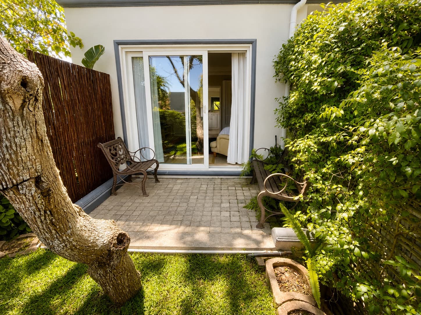 Mountain Room garden aspect